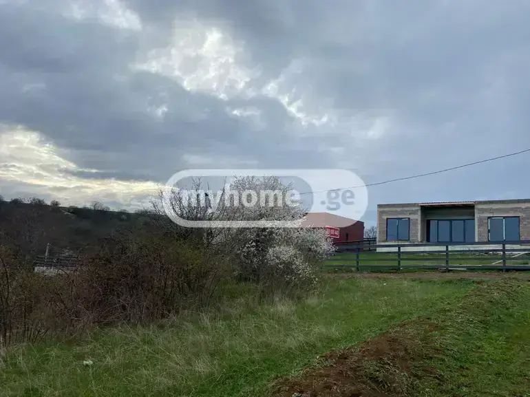 For Sale Sasoplo-Sameurneo Land Plot Tetritsqaroshi view 2
