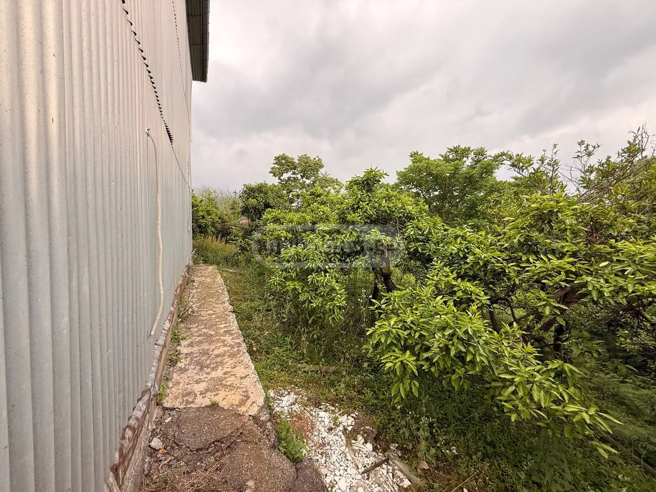 Продажа 5-комната Частный дом в Kobuletis Munitsipalitetshi view 2