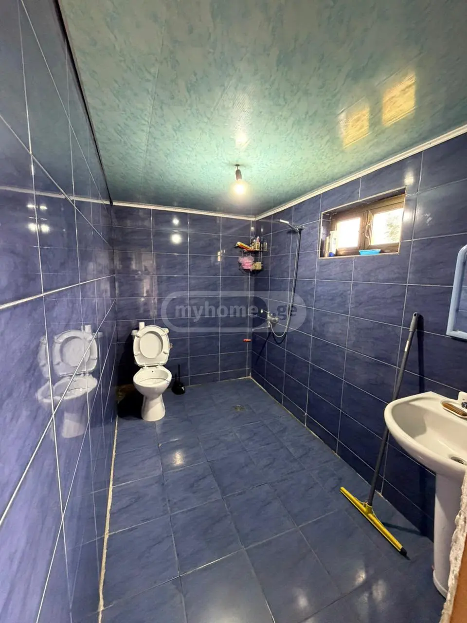 For Sale 10+ Room Private House In Batumi view 12