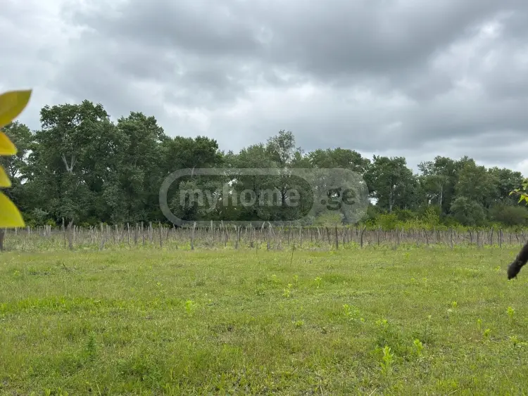 Продажа Земля / участок в Sighnaghshi view 1