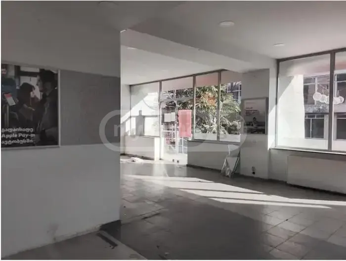 For Sale Universaluri Commercial Space Lagodekhshi view 2