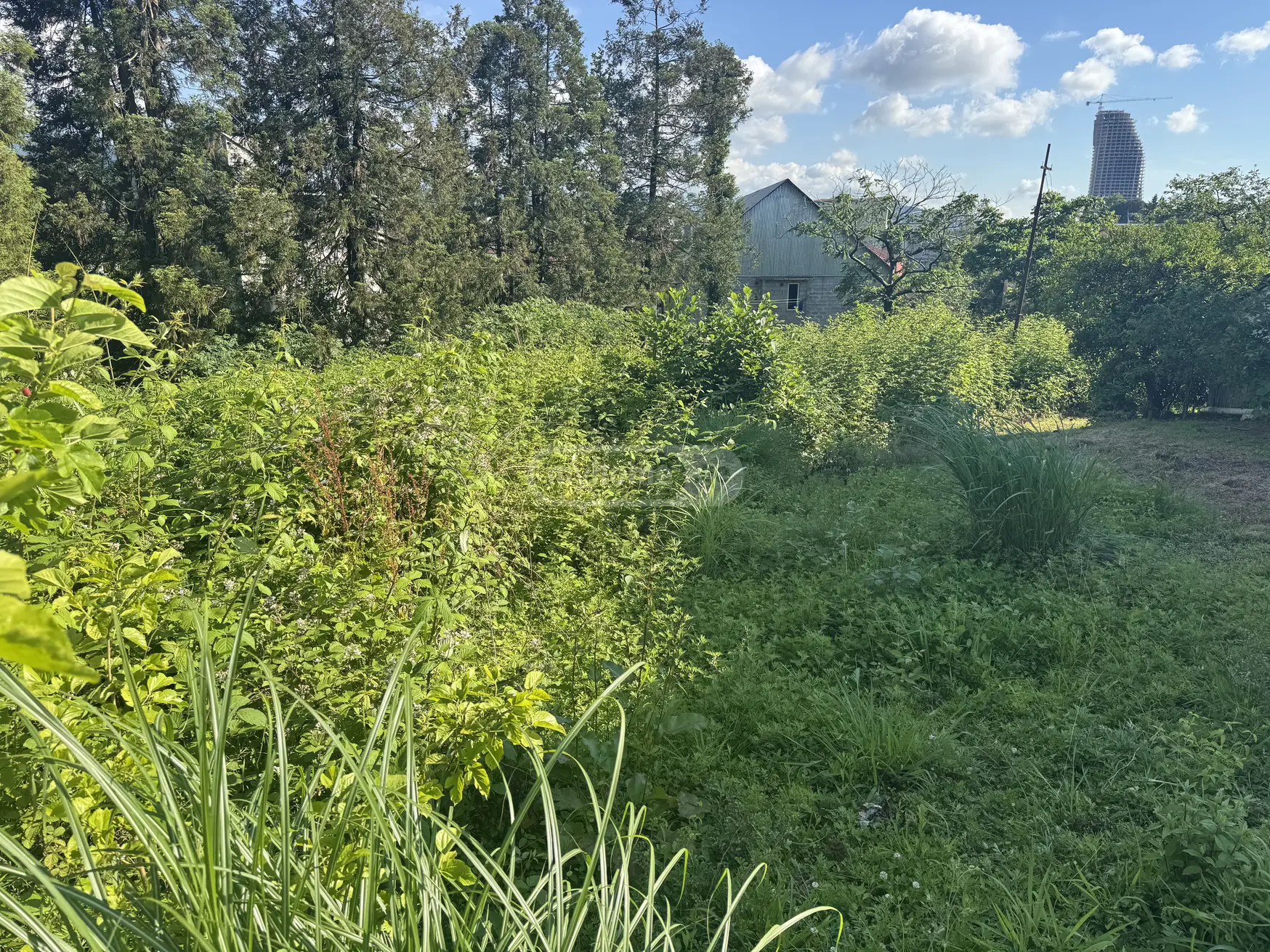 For Sale Sasoplo-Sameurneo Land Plot In Batumi view 2