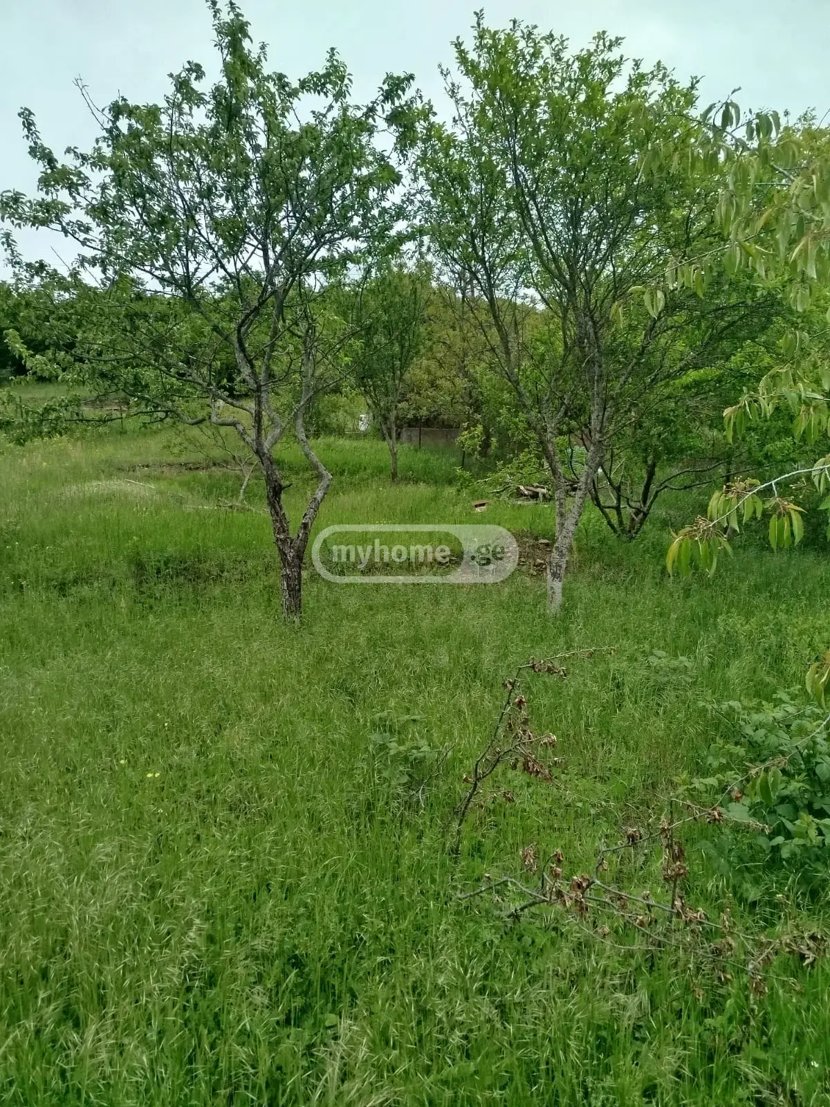 For Sale Sasoplo-Sameurneo Land Plot Tetritsqaroshi view 9