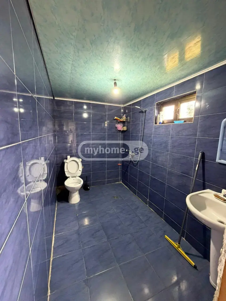 For Sale 10+ Room Private House In Batumi view 9