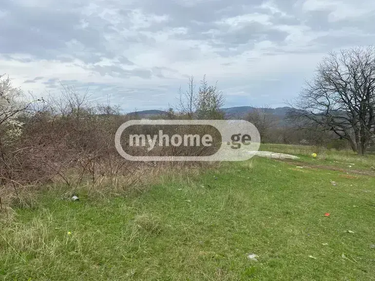 For Sale Sasoplo-Sameurneo Land Plot Tetritsqaroshi view 5