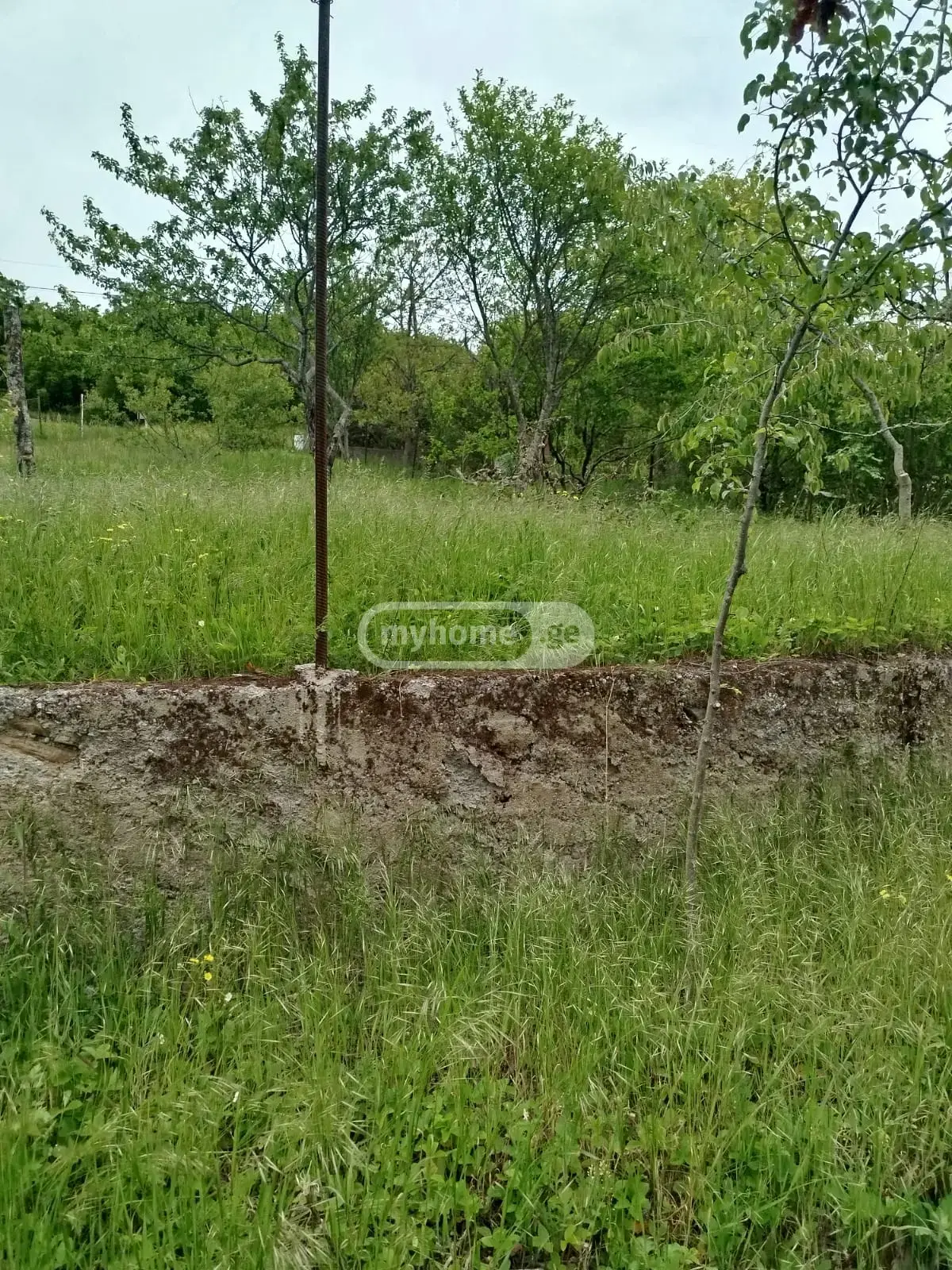 For Sale Sasoplo-Sameurneo Land Plot Tetritsqaroshi view 3