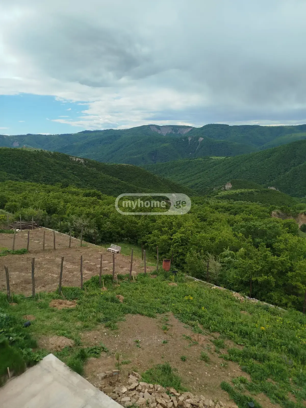 For Sale Sasoplo-Sameurneo Land Plot Tetritsqaroshi view 5