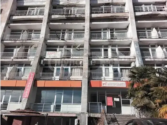 For Sale Universaluri Commercial Space Lagodekhshi view 6