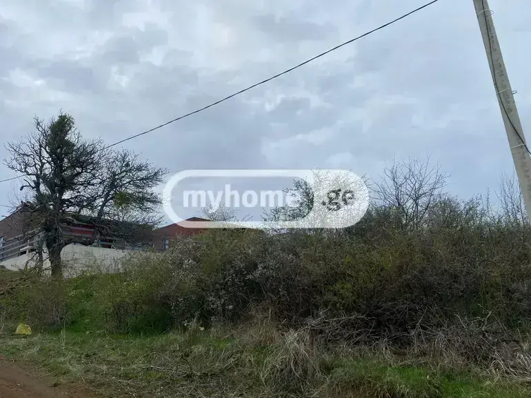 For Sale Sasoplo-Sameurneo Land Plot Tetritsqaroshi view 6