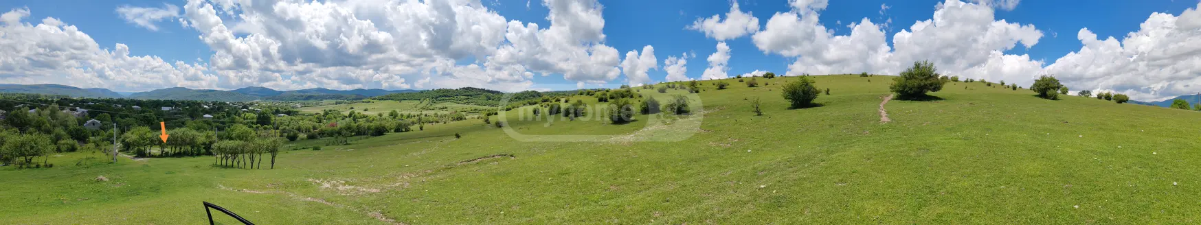 For Sale Sasoplo-Sameurneo Land Plot Tianetis Munitsipalitetshi view 1