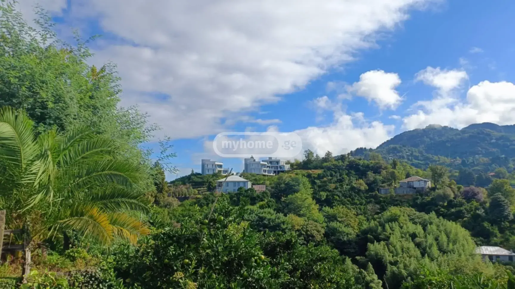 For Sale 6 Room Private House view 13