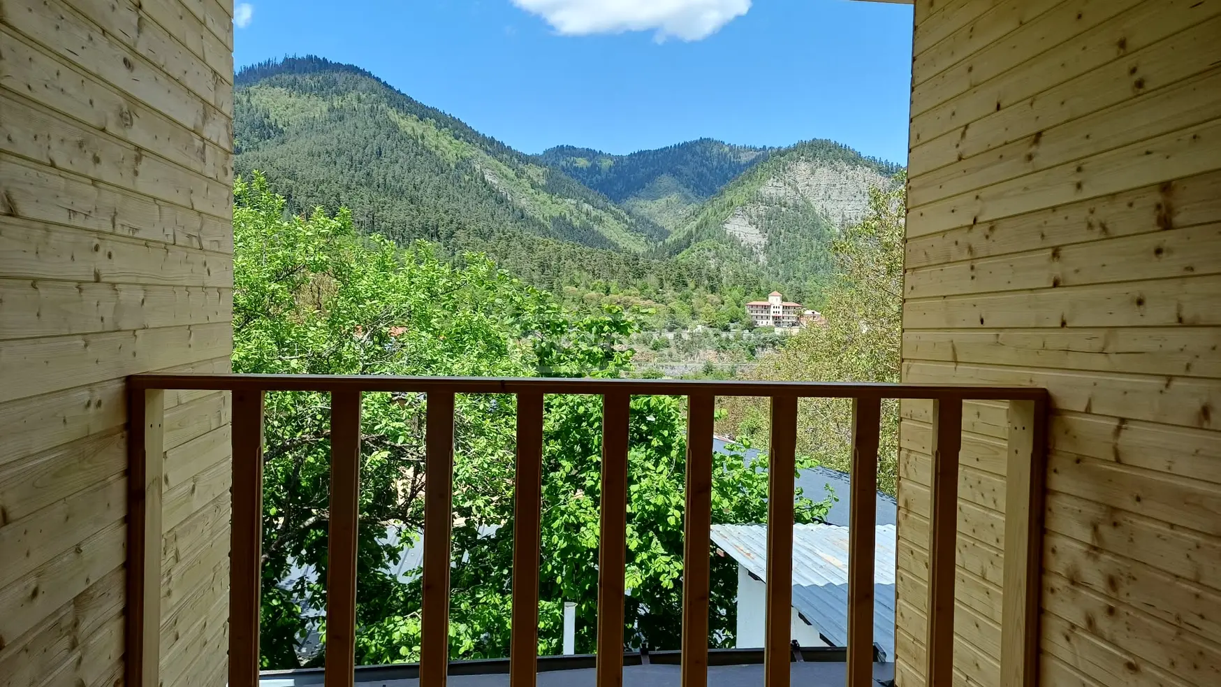 Daily Rent 3 Room Country House Borjomshi view 6