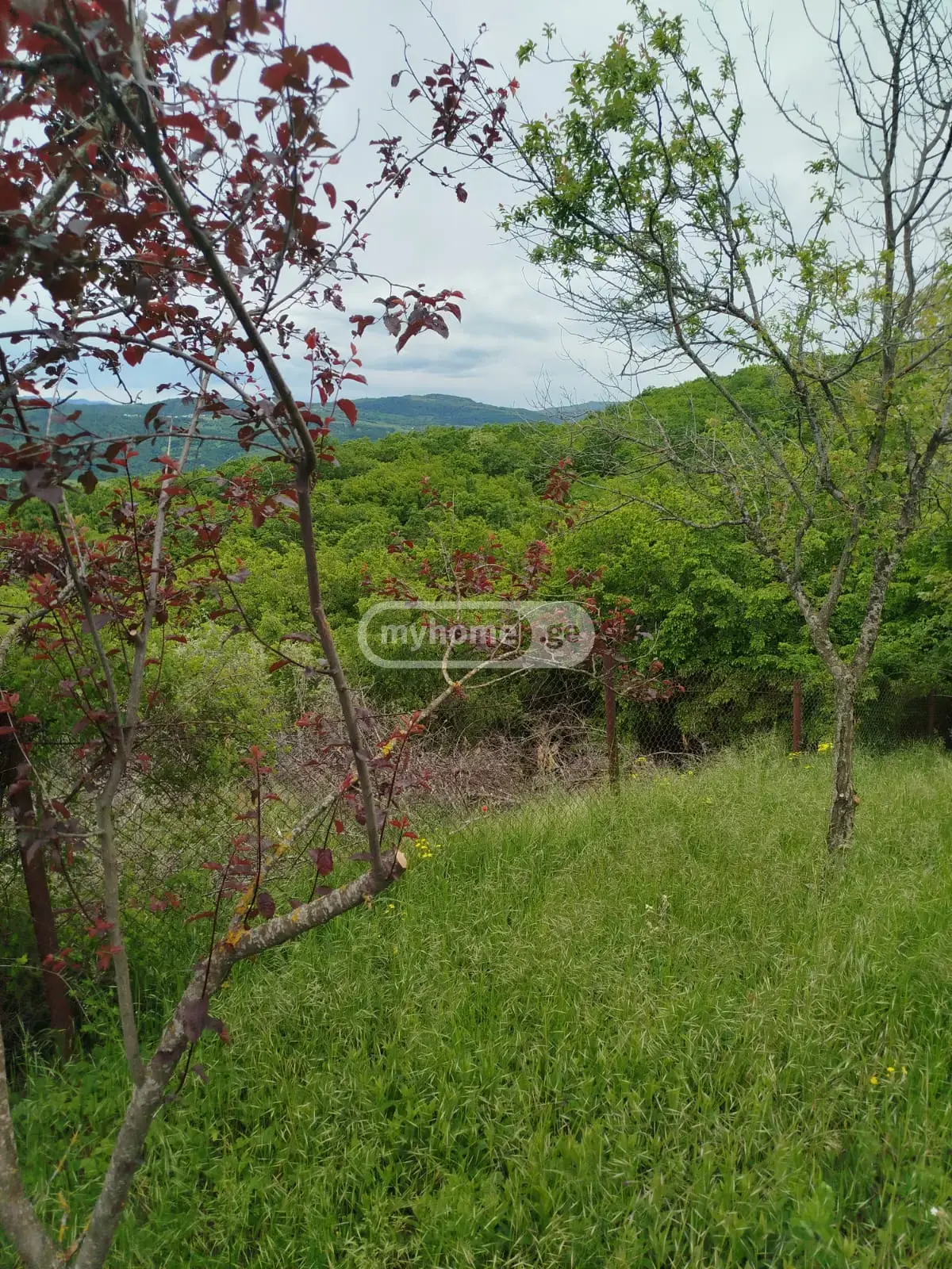 For Sale Sasoplo-Sameurneo Land Plot Tetritsqaroshi view 10
