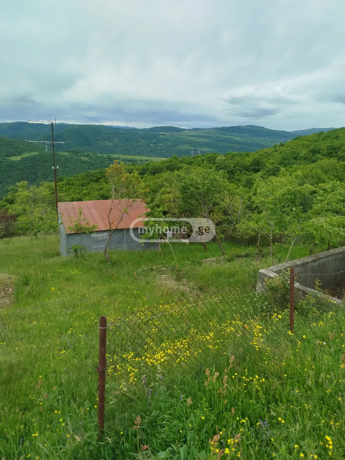 For Sale Sasoplo-Sameurneo Land Plot Tetritsqaroshi view 4