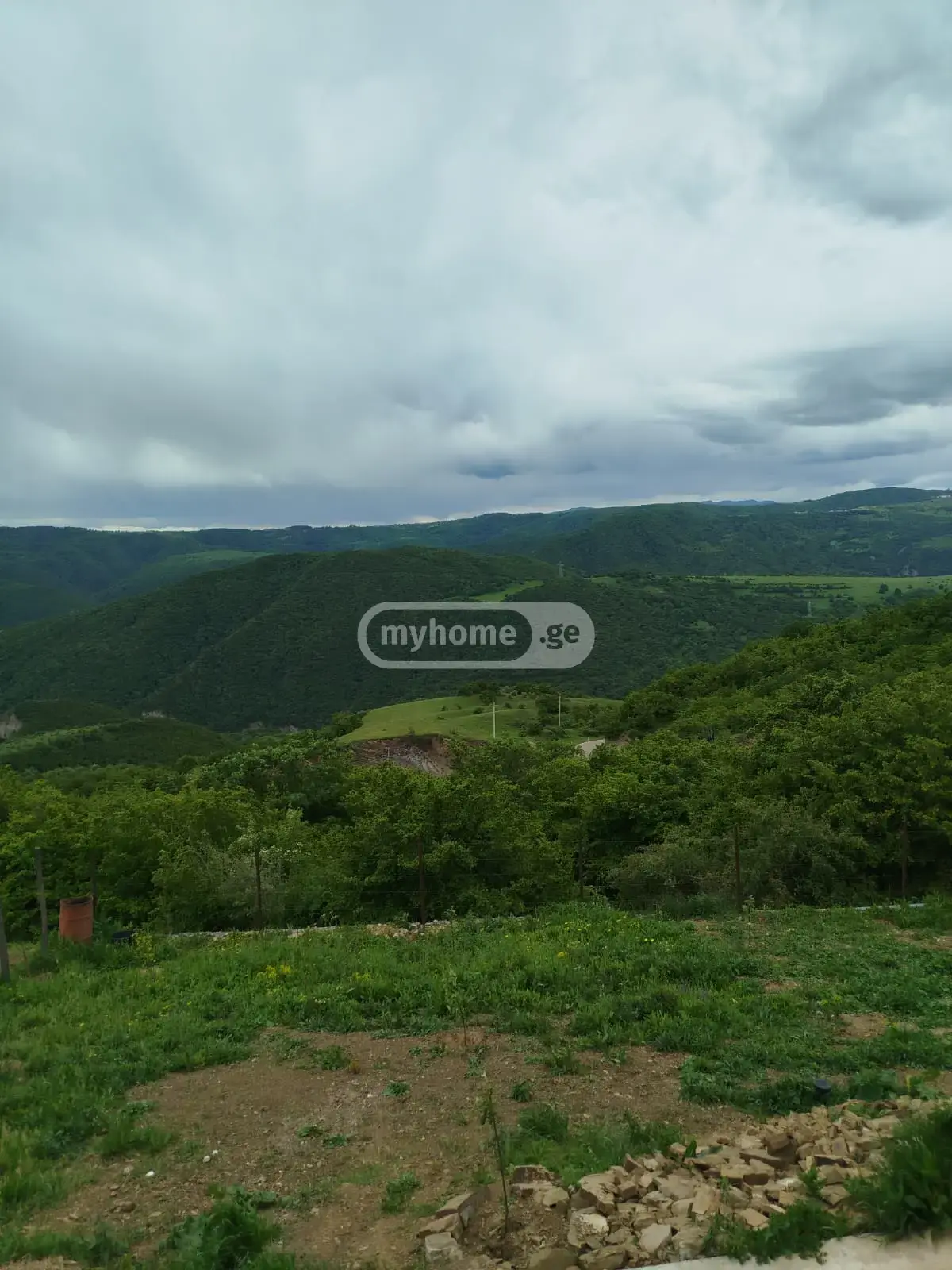 For Sale Sasoplo-Sameurneo Land Plot Tetritsqaroshi view 7