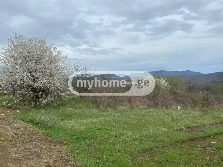 For Sale Sasoplo-Sameurneo Land Plot Tetritsqaroshi view 1
