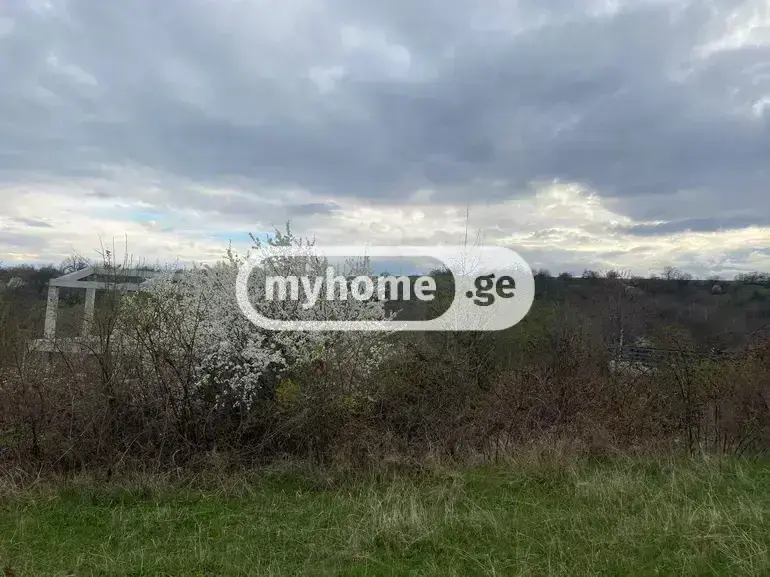 For Sale Sasoplo-Sameurneo Land Plot Tetritsqaroshi view 3