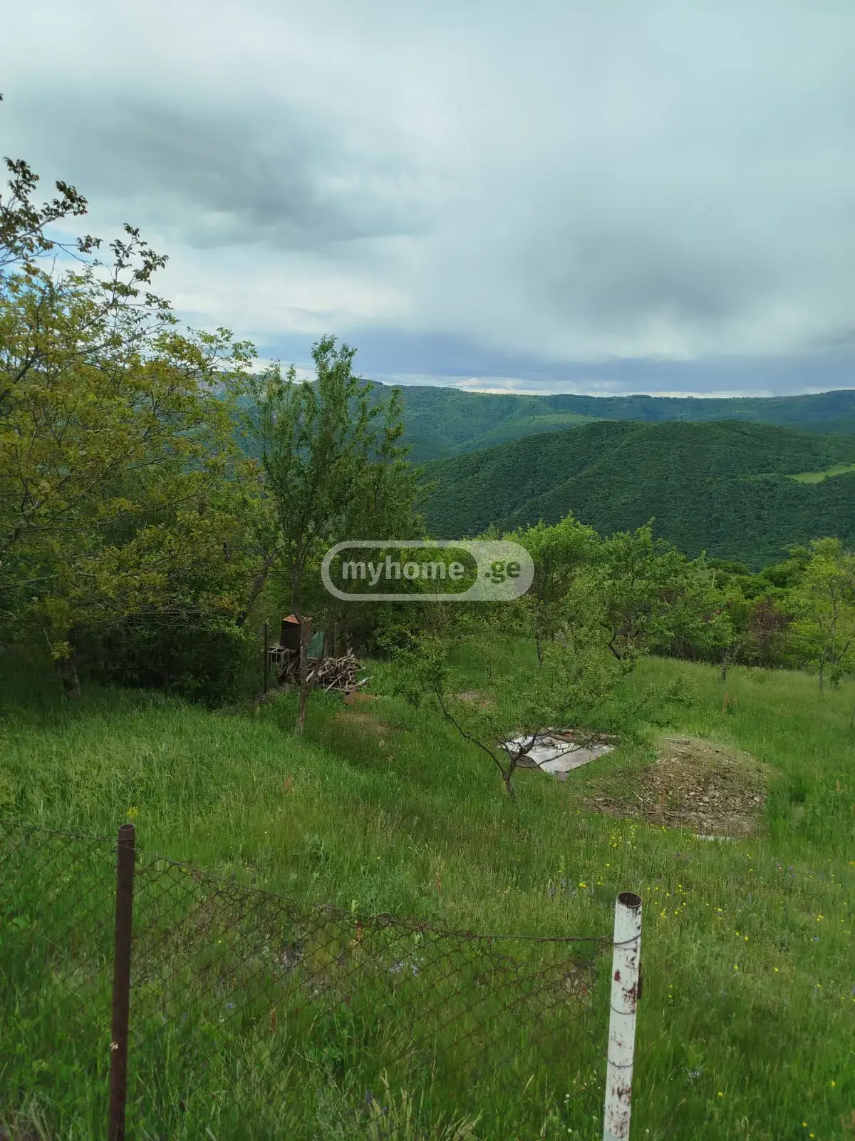 For Sale Sasoplo-Sameurneo Land Plot Tetritsqaroshi view 11