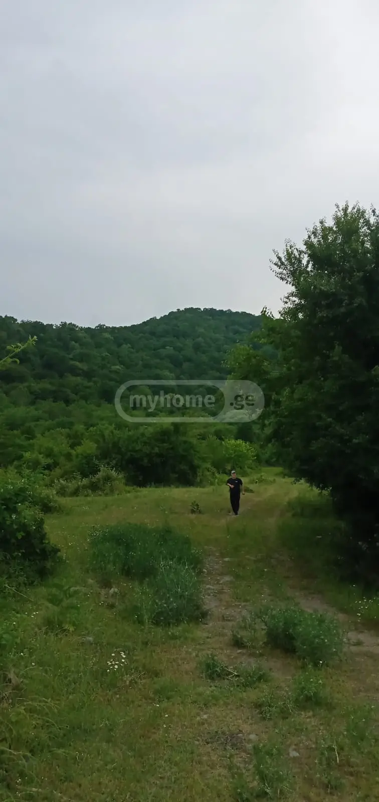Продажа Земля / участок в Lagodekhshi view 4