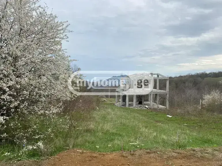 For Sale Sasoplo-Sameurneo Land Plot Tetritsqaroshi view 8