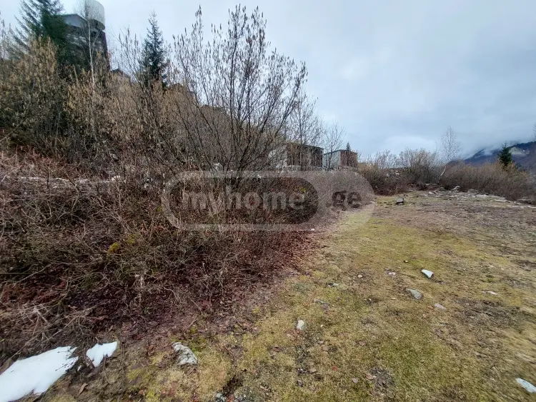 For Sale Sasoplo-Sameurneo Land Plot Mestiashi view 1
