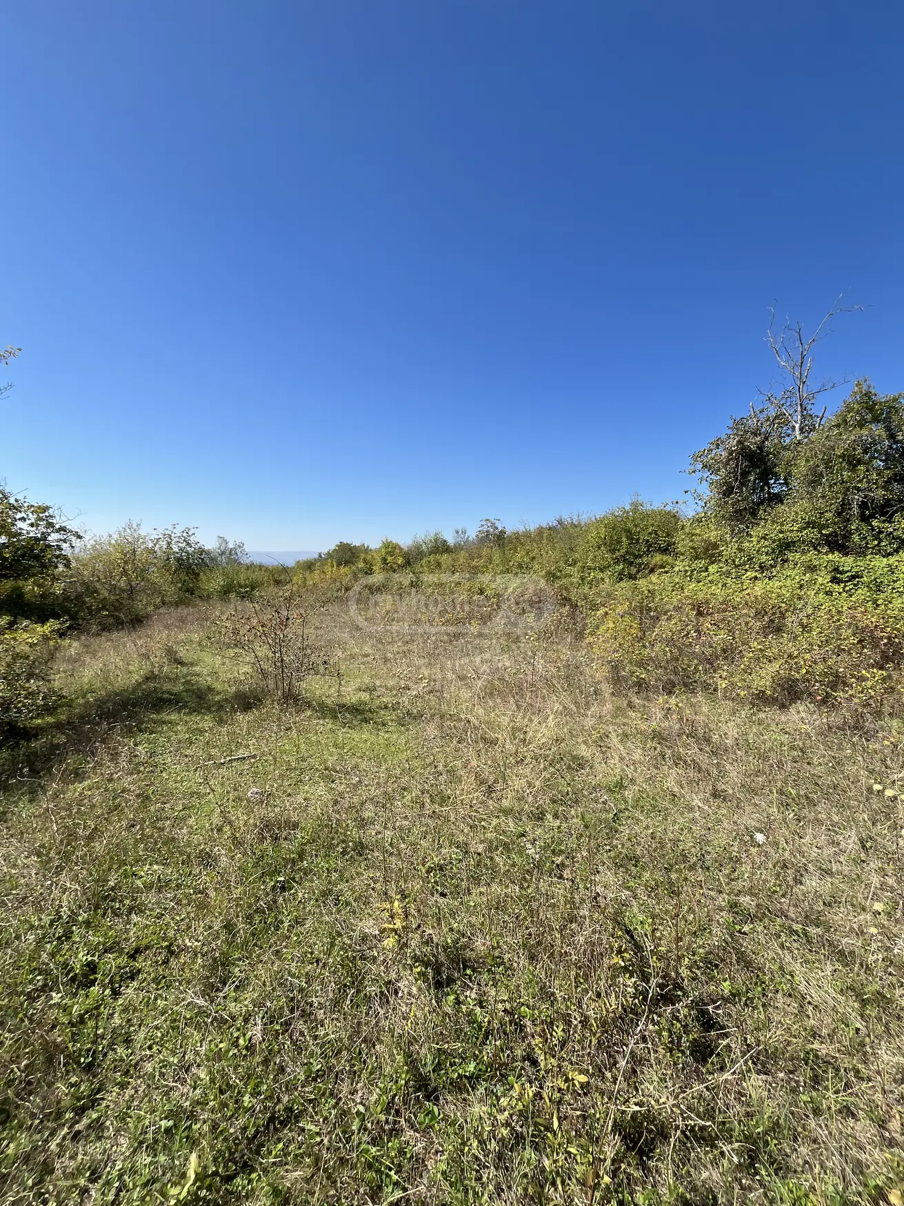 For Sale Sasoplo-Sameurneo Land Plot Gurjaanis Munitsipalitetshi view 9