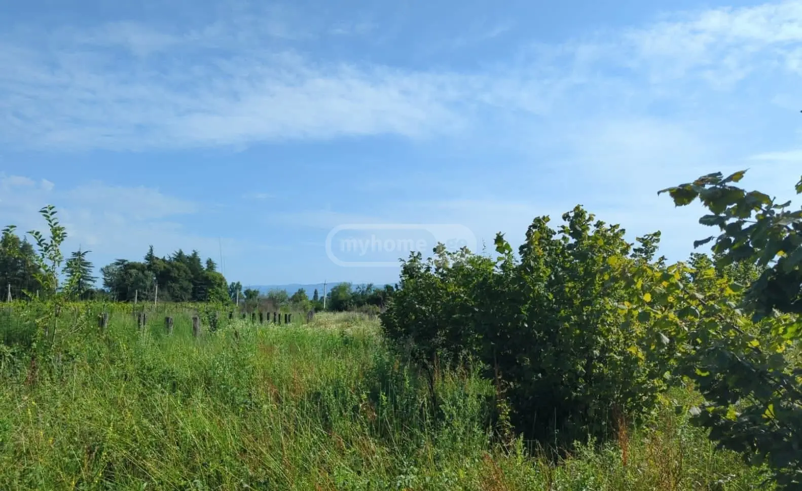 იყიდება მიწა / ნაკვეთი Qvarlis Munitsipalitetshiში view 2