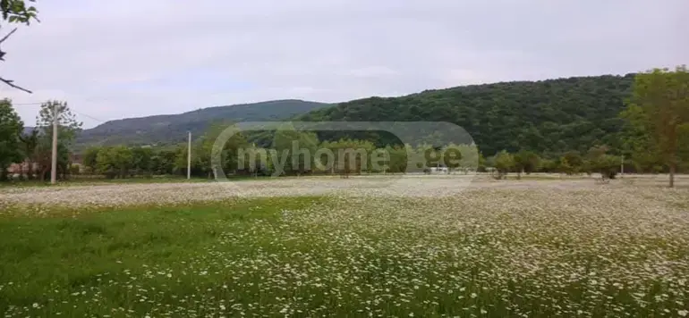 Продажа Земля / участок в Tianetis Munitsipalitetshi view 3