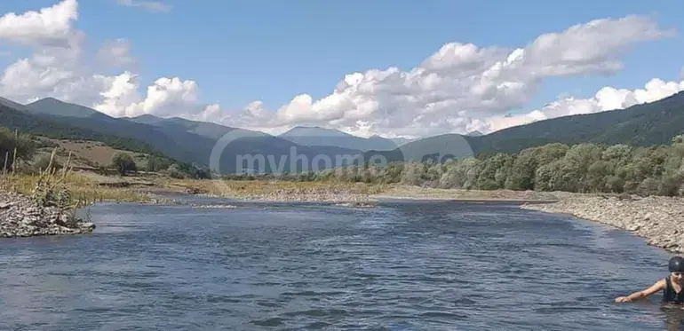 Продажа Земля / участок в Tianetis Munitsipalitetshi view 4