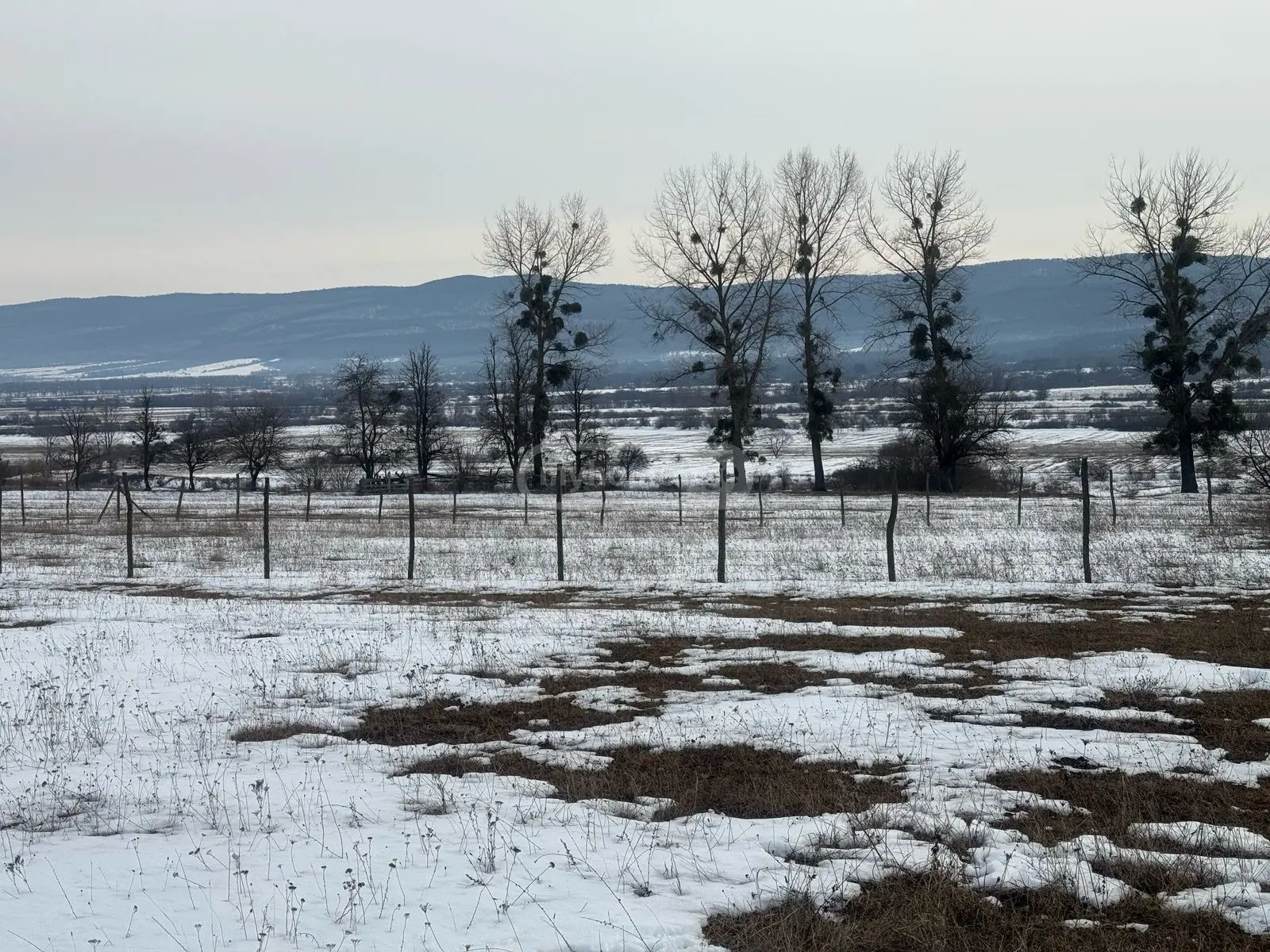 Продажа Земля / участок в Tianetis Munitsipalitetshi view 5