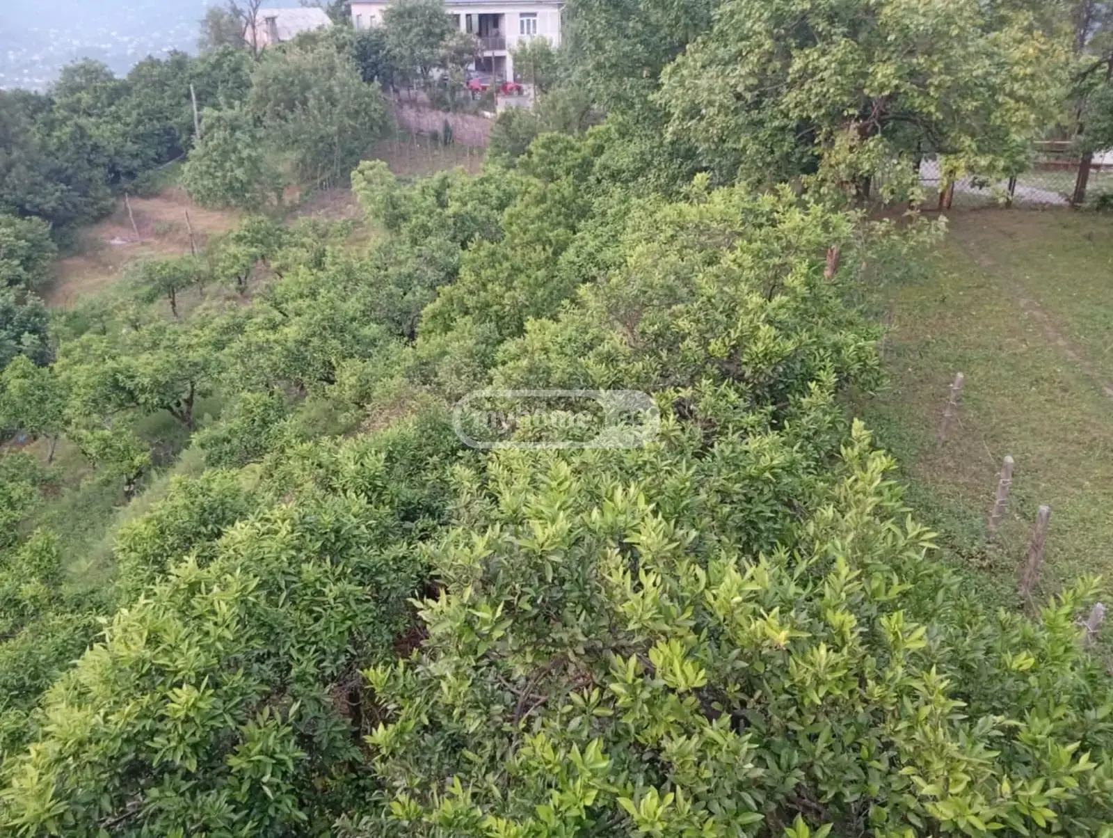 Продажа Земля / участок в Khelvachaurshi view 8
