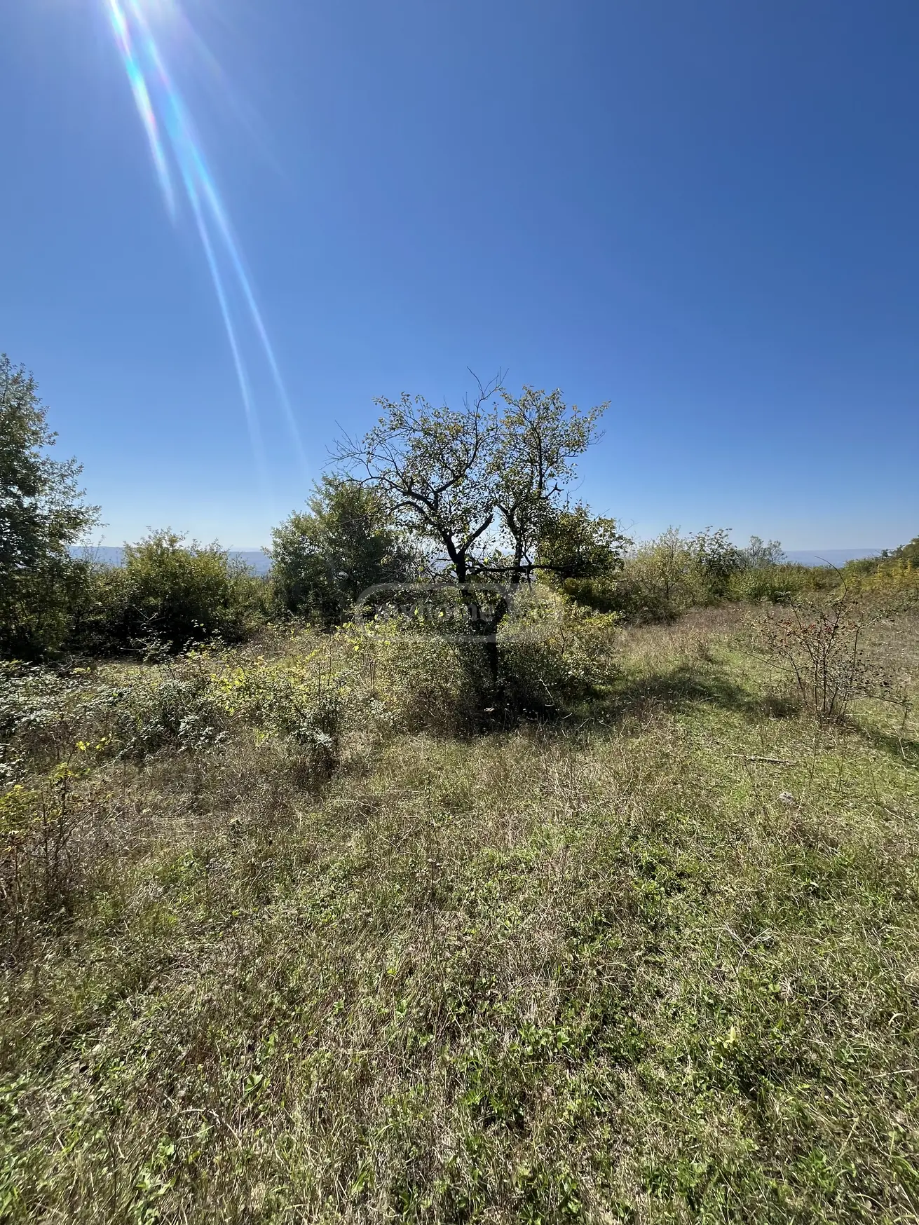 For Sale Sasoplo-Sameurneo Land Plot Gurjaanis Munitsipalitetshi view 7