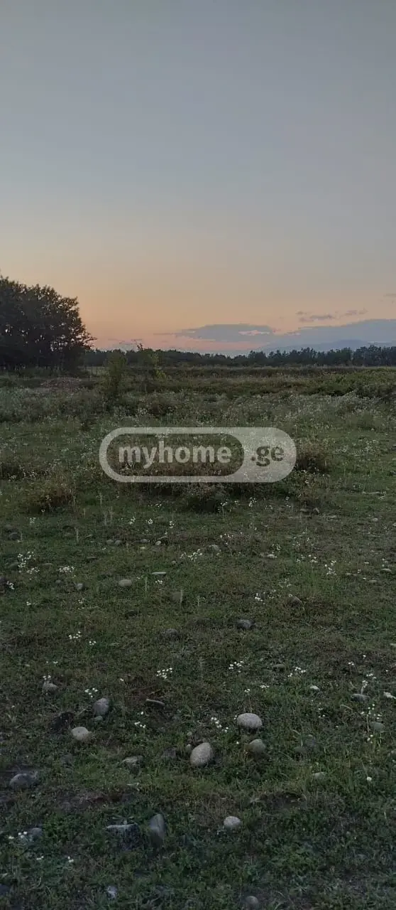For Sale Ara Sasoplo-Sameurneo Land Plot Tsqaltuboshi view 2