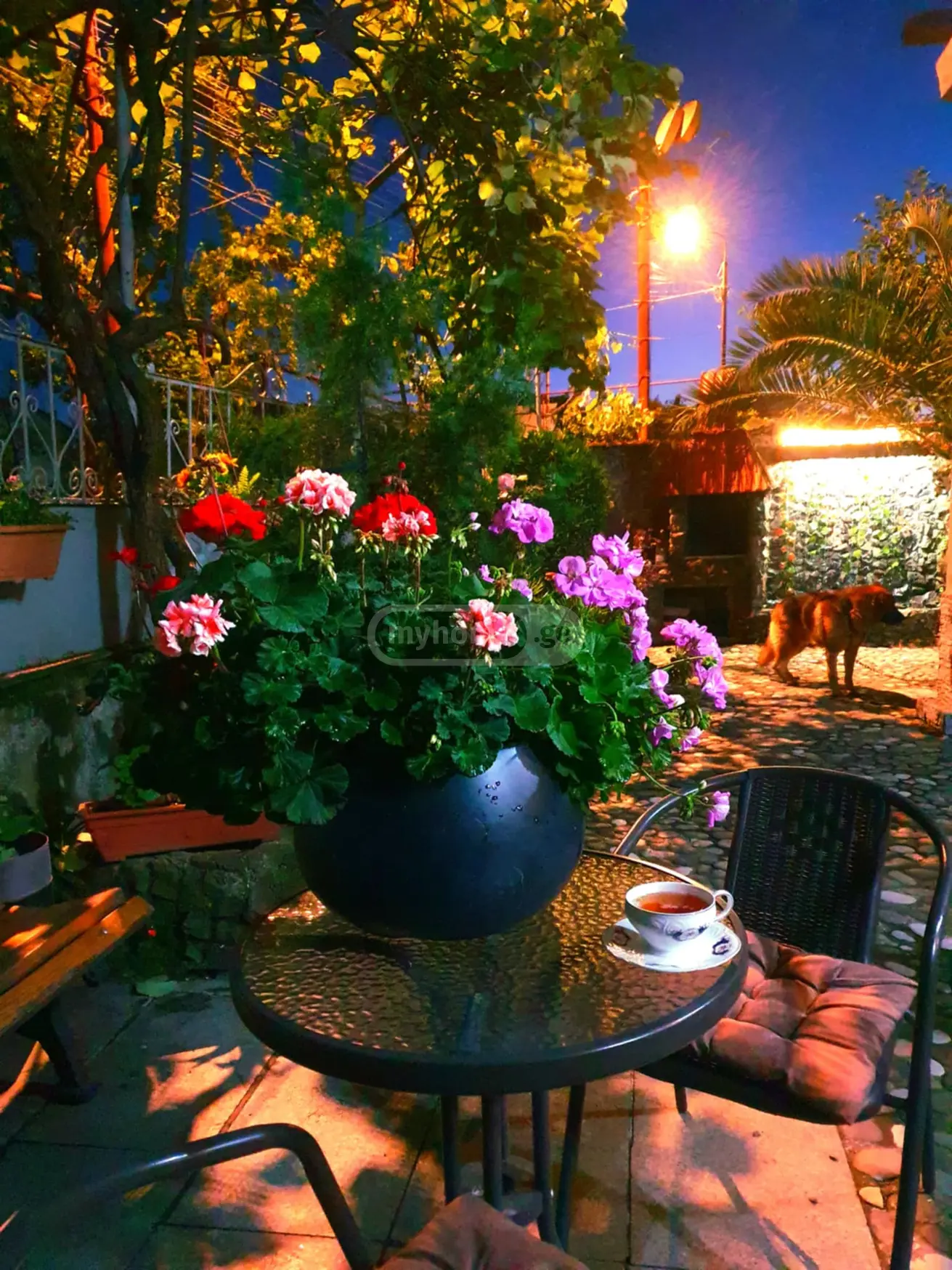 Daily Rent 3 Room Private House, 7 of 8