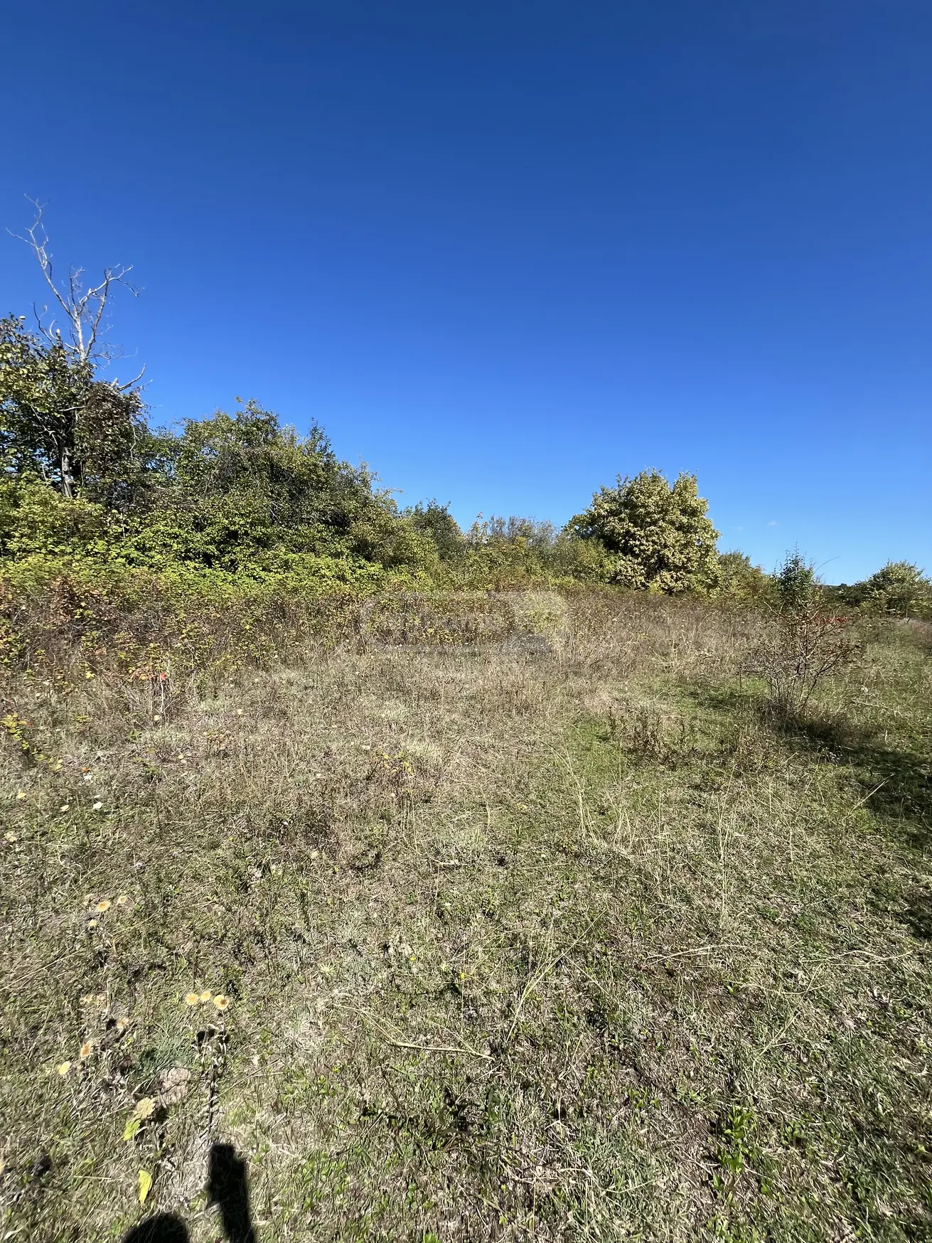 For Sale Sasoplo-Sameurneo Land Plot Gurjaanis Munitsipalitetshi view 4