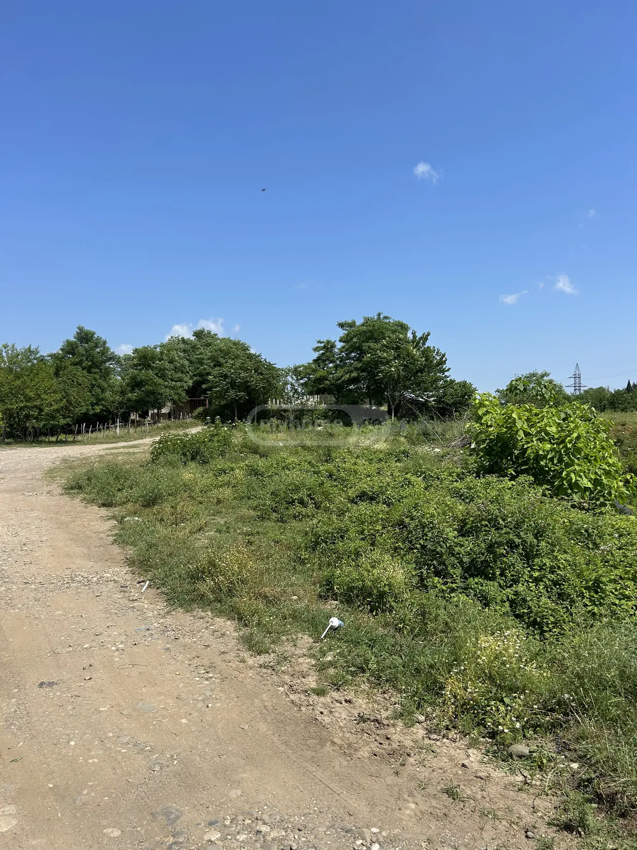For Sale Sasoplo-Sameurneo Land Plot Kutaisshi view 5