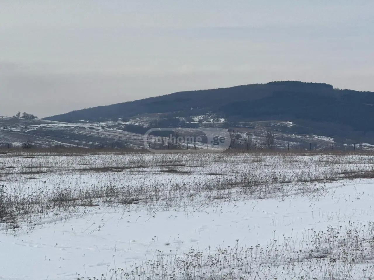 Продажа Земля / участок в Tianetis Munitsipalitetshi view 1
