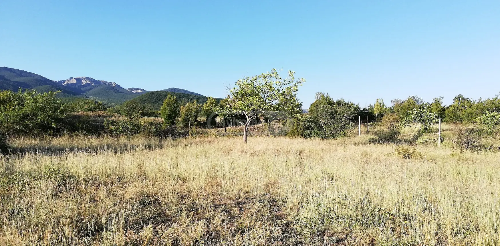 For Sale 3 Room Country House Sagarejoshi view 5