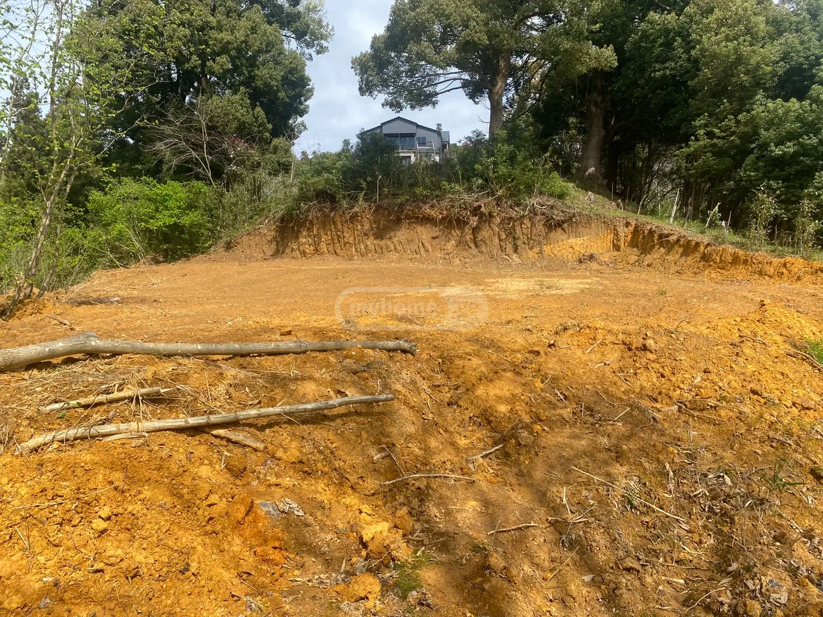 For Sale Sasoplo-Sameurneo Land Plot In Batumi view 3