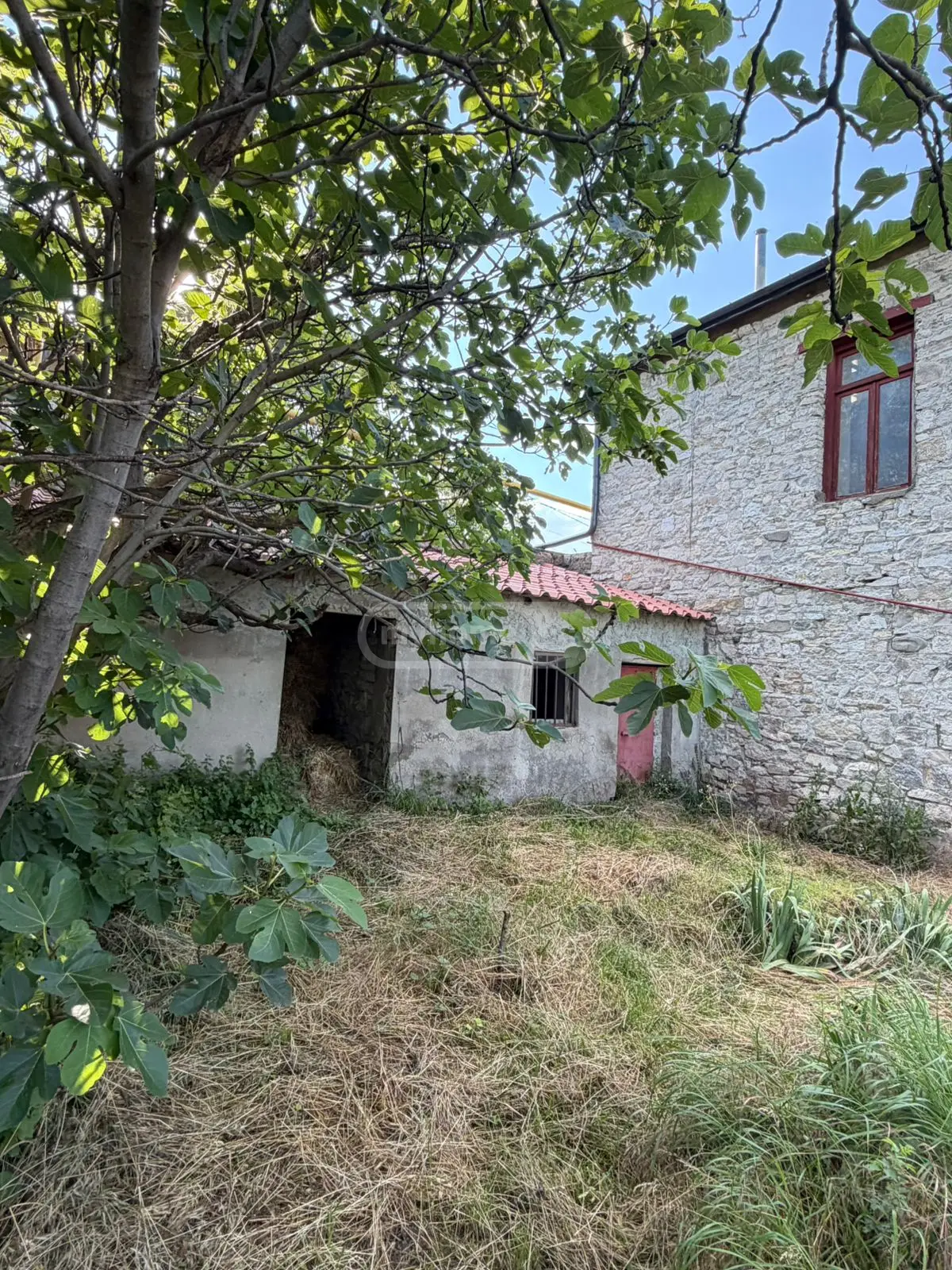 For Sale 7 Room Country House Kaspis Munitsipalitetshi view 7