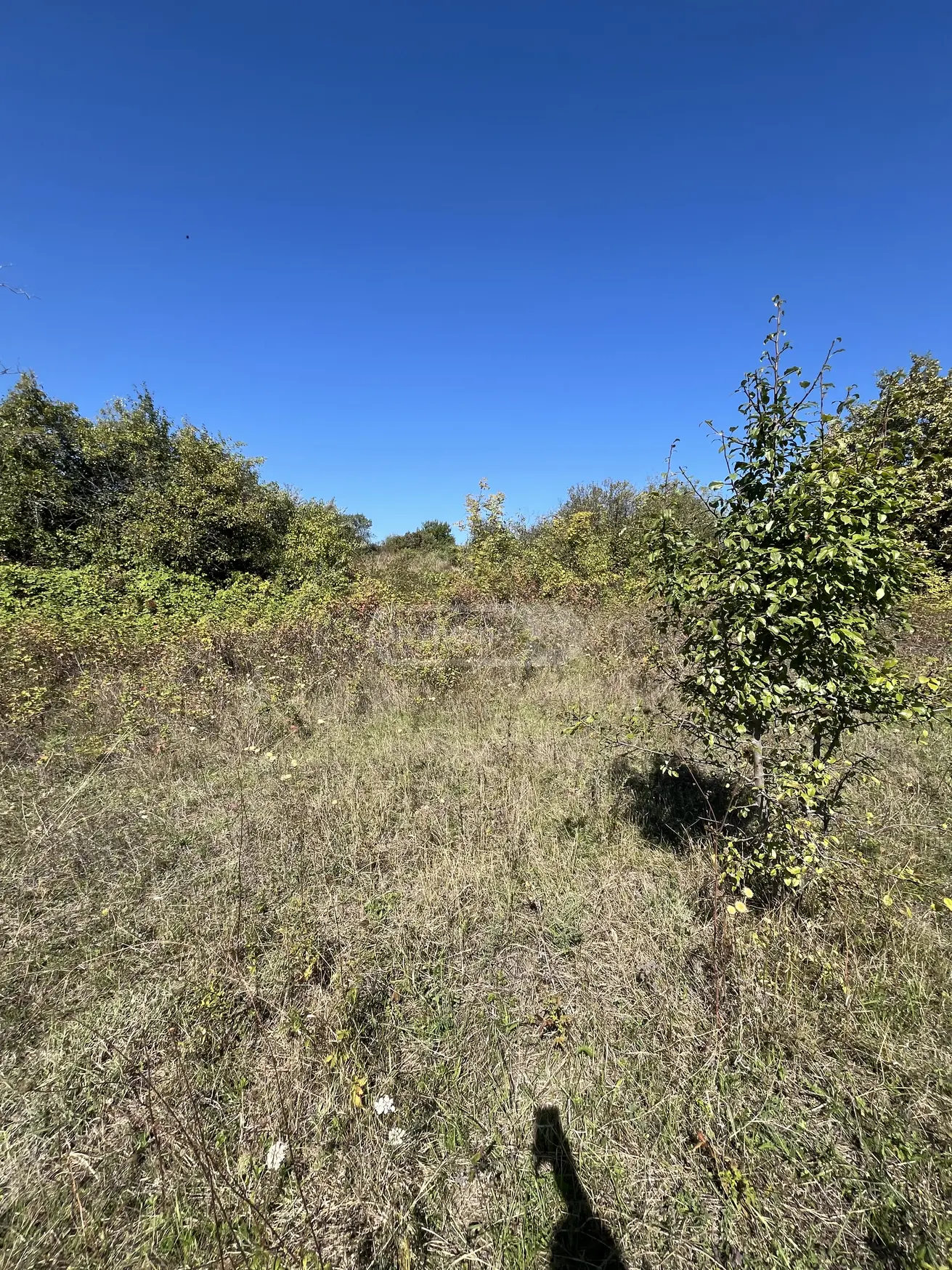 For Sale Sasoplo-Sameurneo Land Plot Gurjaanis Munitsipalitetshi view 6