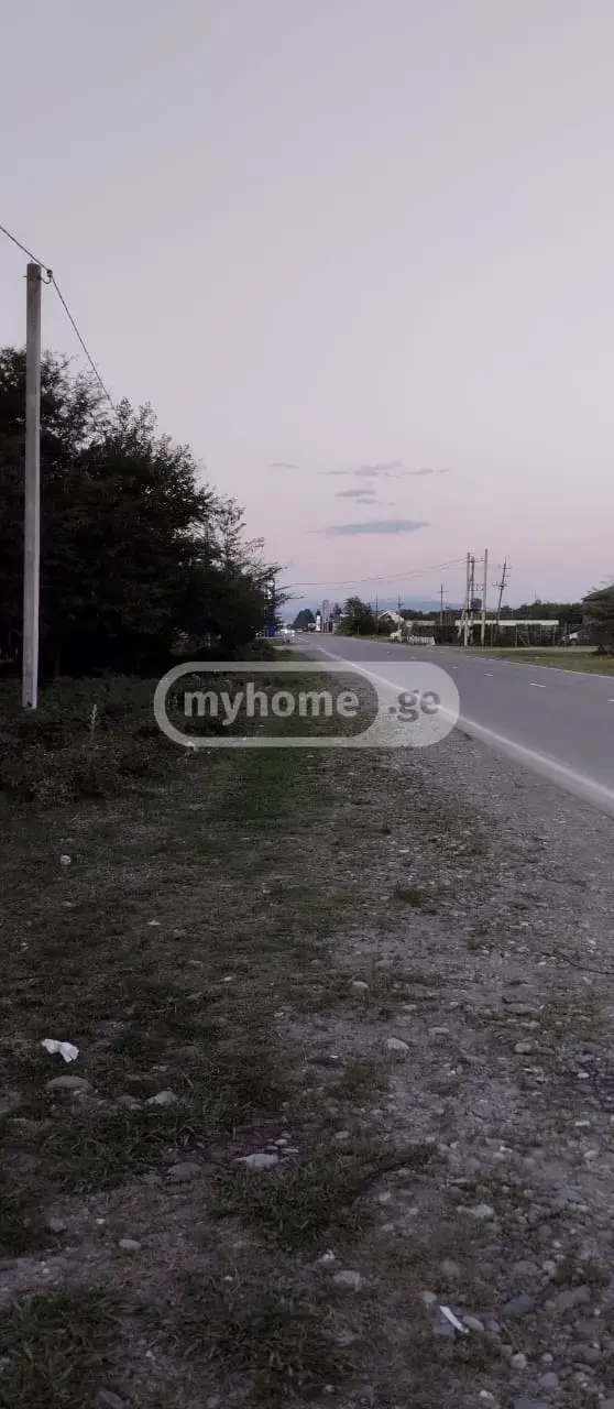 For Sale Ara Sasoplo-Sameurneo Land Plot Tsqaltuboshi view 6