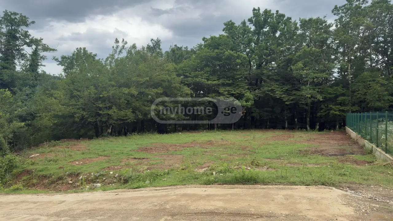 For Sale Sasoplo-Sameurneo Land Plot Tqibulshi view 1