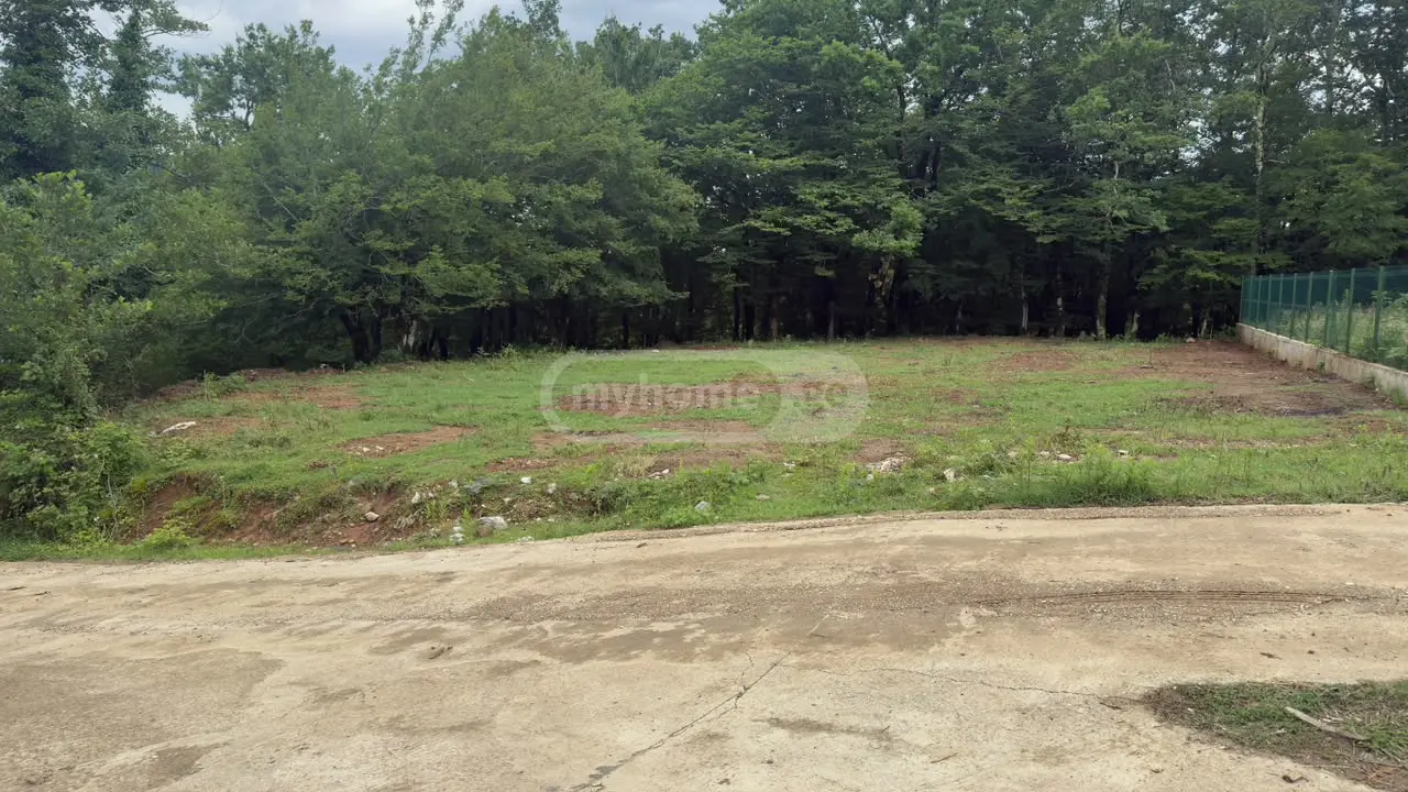 For Sale Sasoplo-Sameurneo Land Plot Tqibulshi view 2