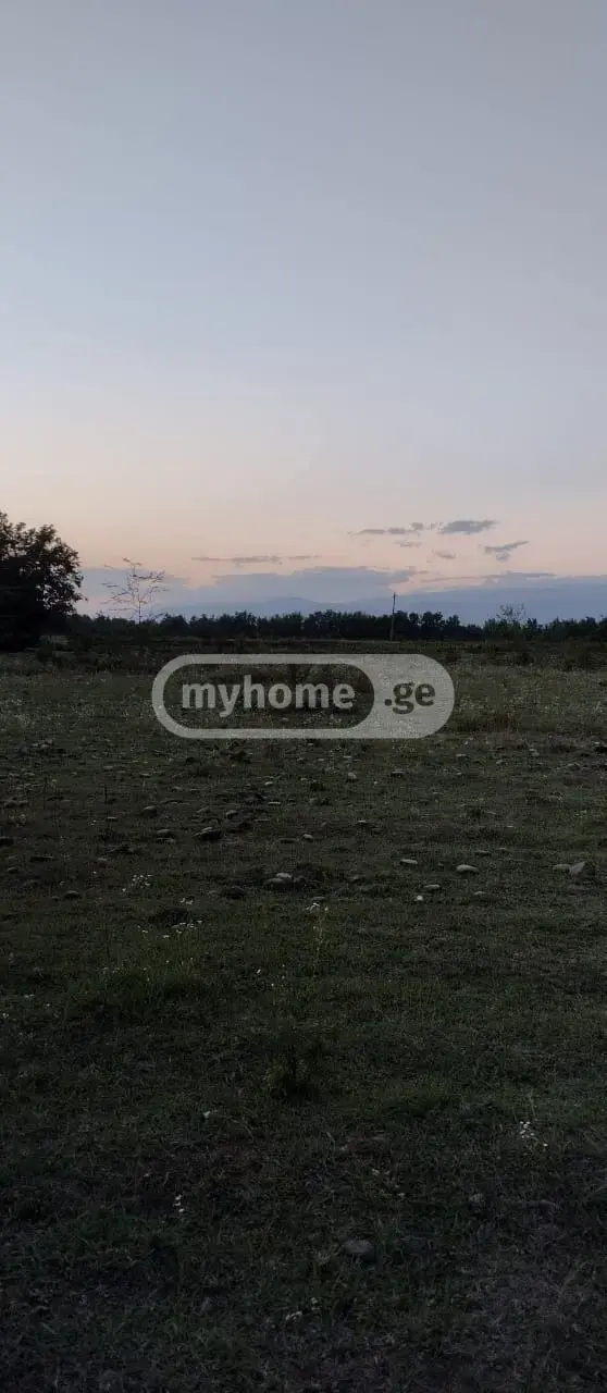 For Sale Ara Sasoplo-Sameurneo Land Plot Tsqaltuboshi view 3