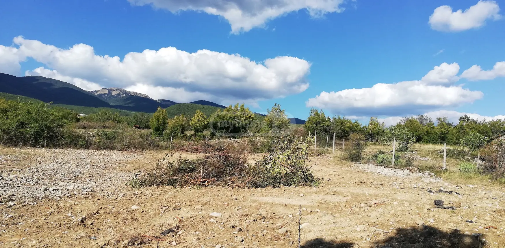 For Sale 3 Room Country House Sagarejoshi view 6