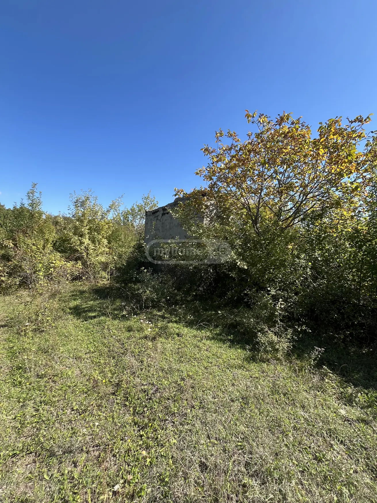 For Sale Sasoplo-Sameurneo Land Plot Gurjaanis Munitsipalitetshi view 2