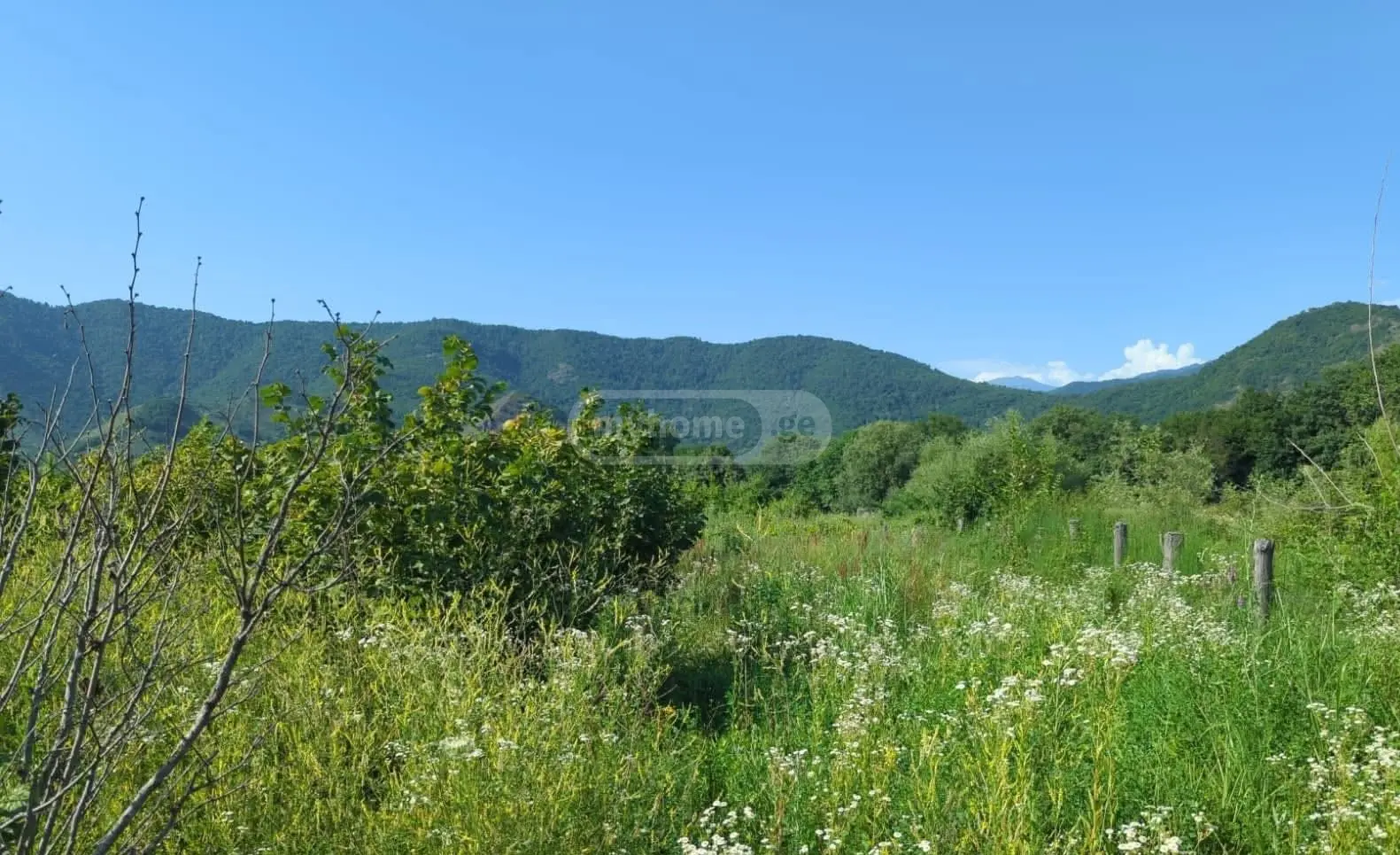იყიდება მიწა / ნაკვეთი Qvarlis Munitsipalitetshiში view 4