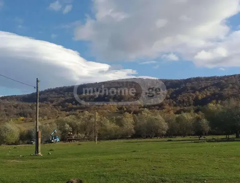 Продажа Земля / участок в Tianetis Munitsipalitetshi view 5