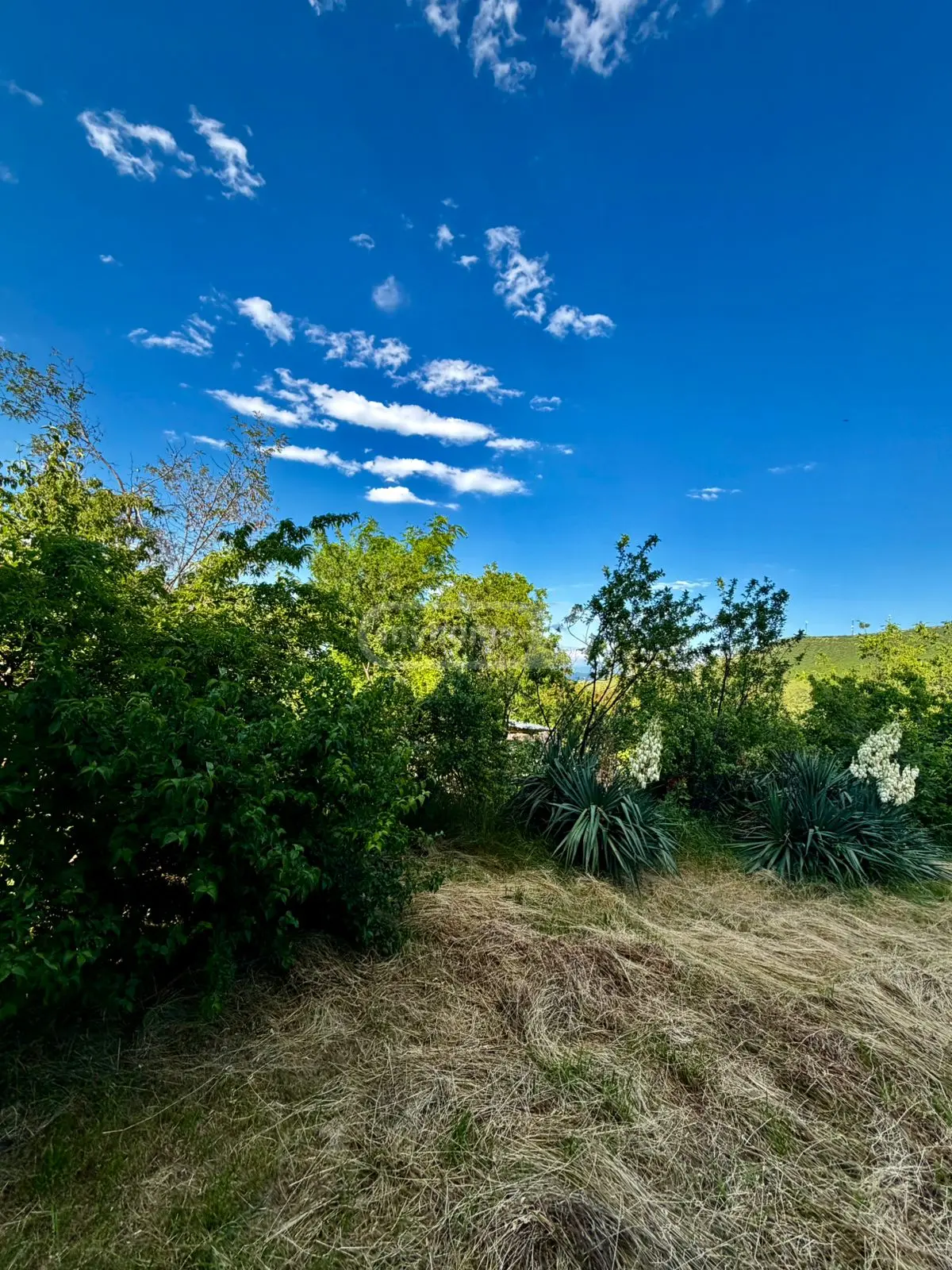 For Sale 7 Room Country House Kaspis Munitsipalitetshi view 16